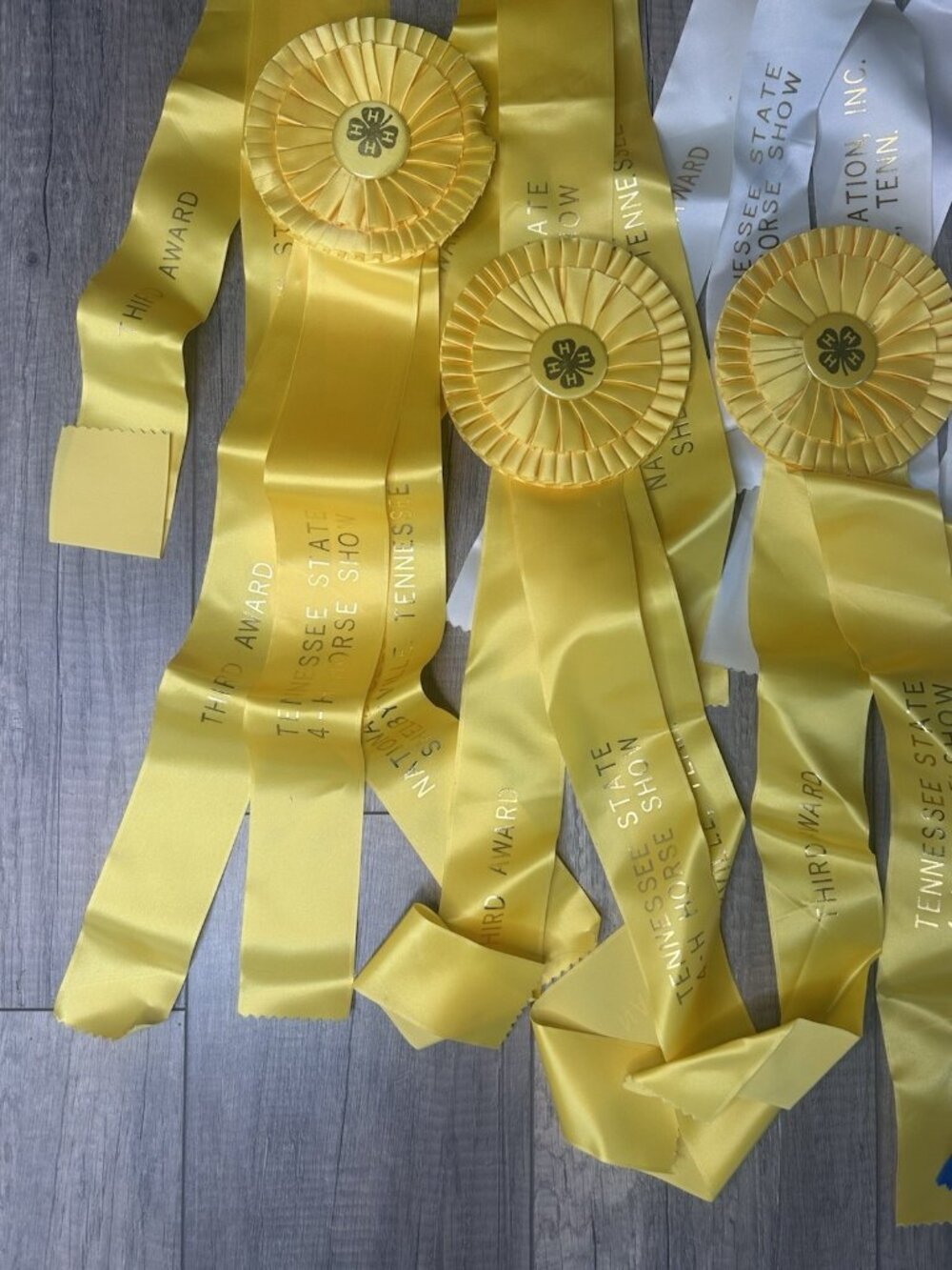 Show Ribbons 4-H Club Rosettes Craft Equestrian Tennessee Shelbyville Lot Of 19 - Picture 7 of 16